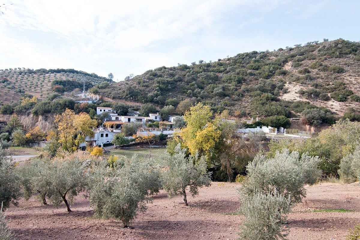 Finca/Landehus til salg i Loja - € 2.100.000 (Ref: 6863906)