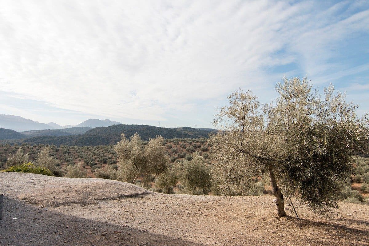 Finca/Landehus til salg i Loja - € 2.100.000 (Ref: 6863906)