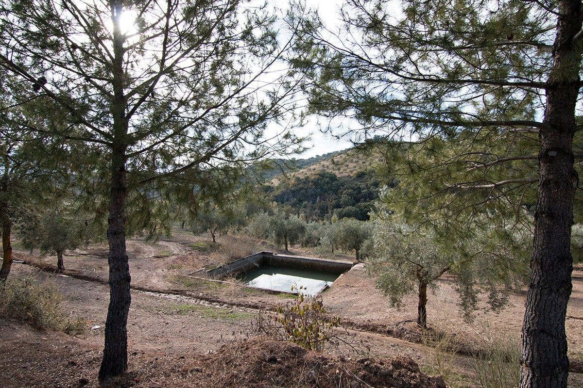 Finca/Landehus til salg i Loja - € 2.100.000 (Ref: 6863906)