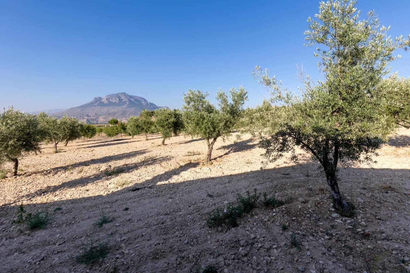 4 soveværelse Byhus til salg i Cortes de Baza med swimmingpool - € 155.000 (Ref: 6863935)