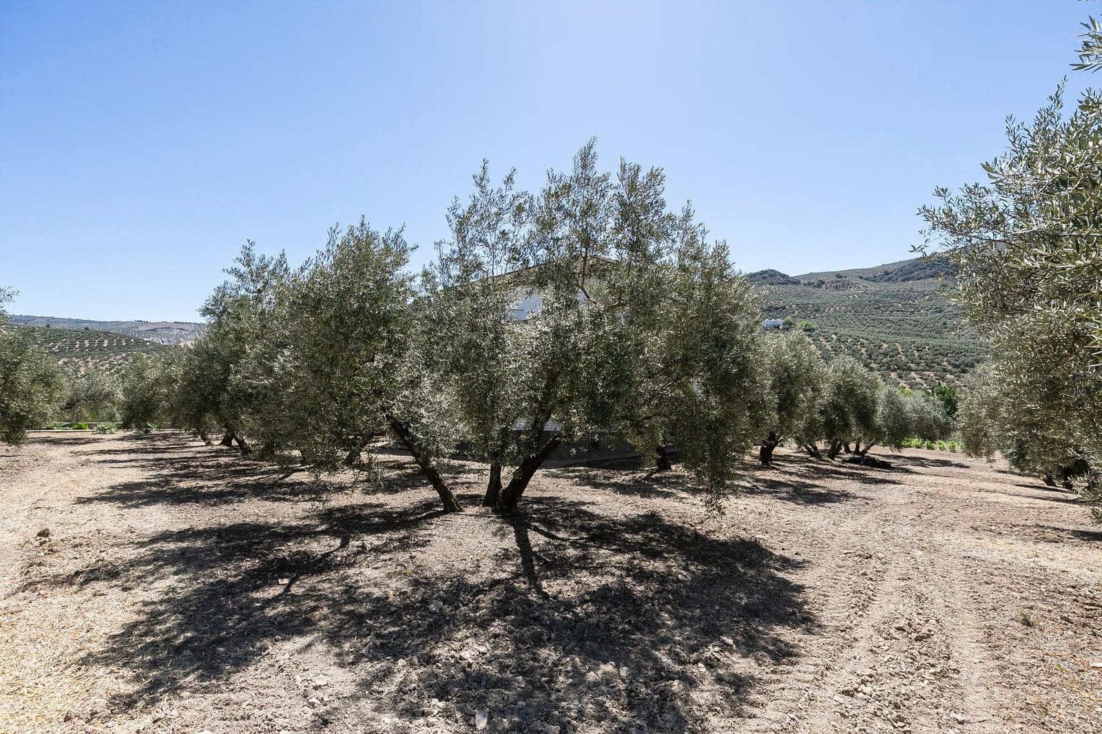 5 soveværelse Finca/Landehus til salg i Montefrio med swimmingpool garage - € 790.000 (Ref: 7520584)