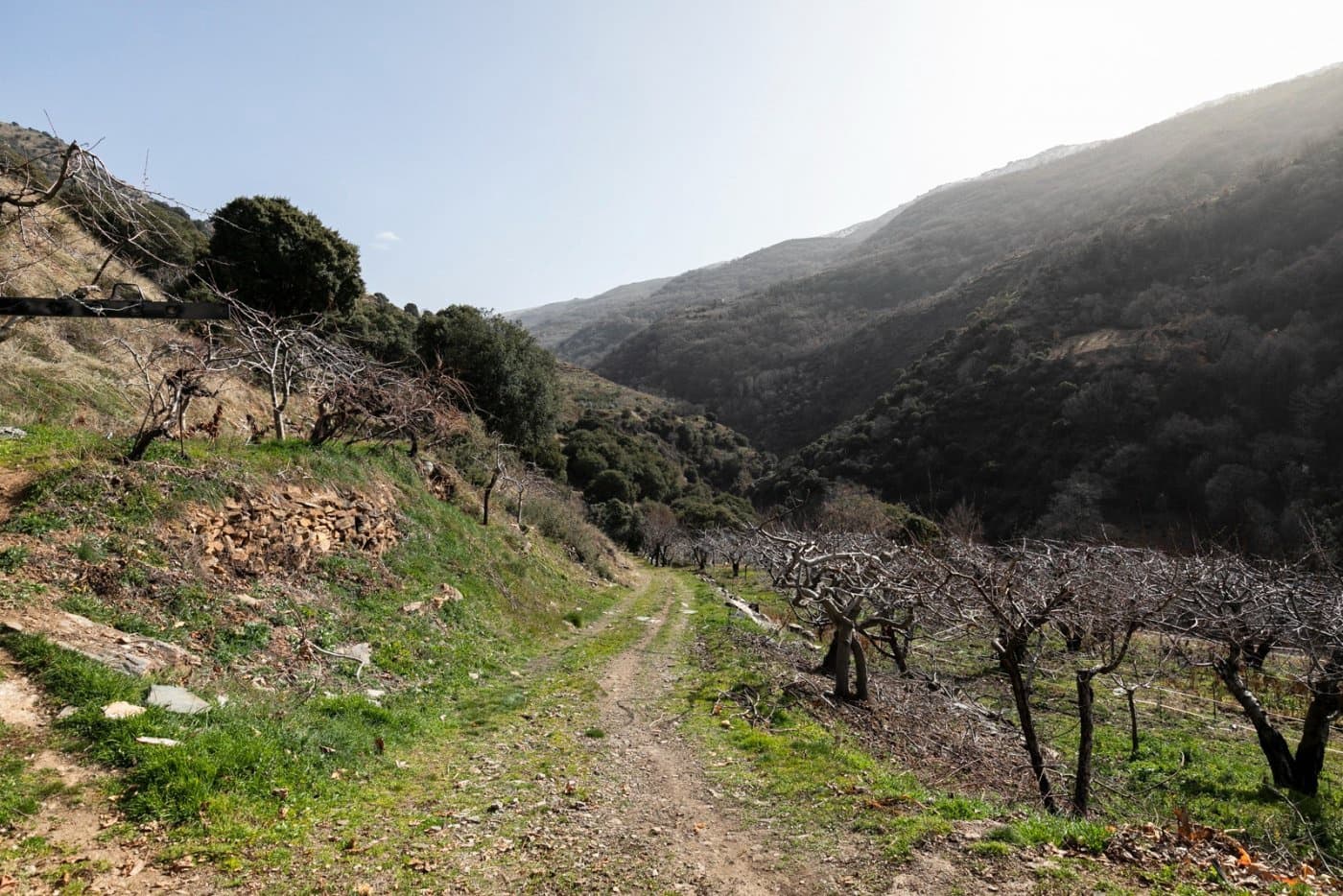 Byggegrund til salg i Guejar Sierra - € 154.000 (Ref: 7717121)