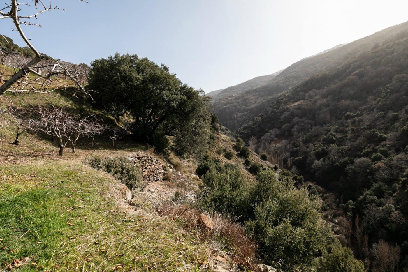 Byggegrund til salg i Guejar Sierra - € 154.000 (Ref: 7717121)