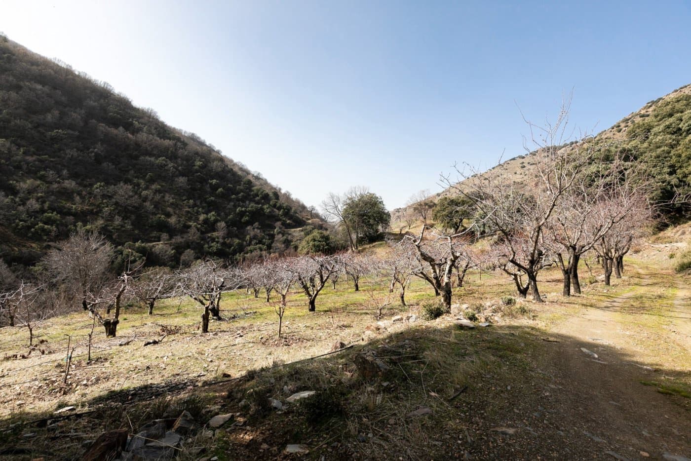 Byggegrund til salg i Guejar Sierra - € 154.000 (Ref: 7717121)