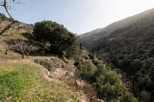 Tontti myytävänä paikassa Güéjar Sierra - 154 000 € (Ref: 7717121)