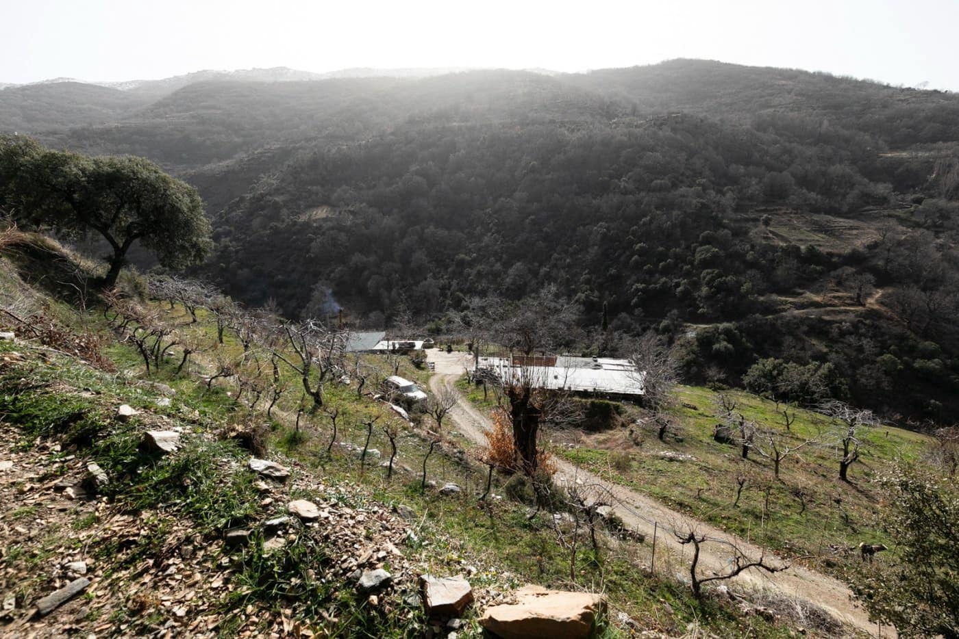 Byggegrund til salg i Guejar Sierra - € 154.000 (Ref: 7717121)