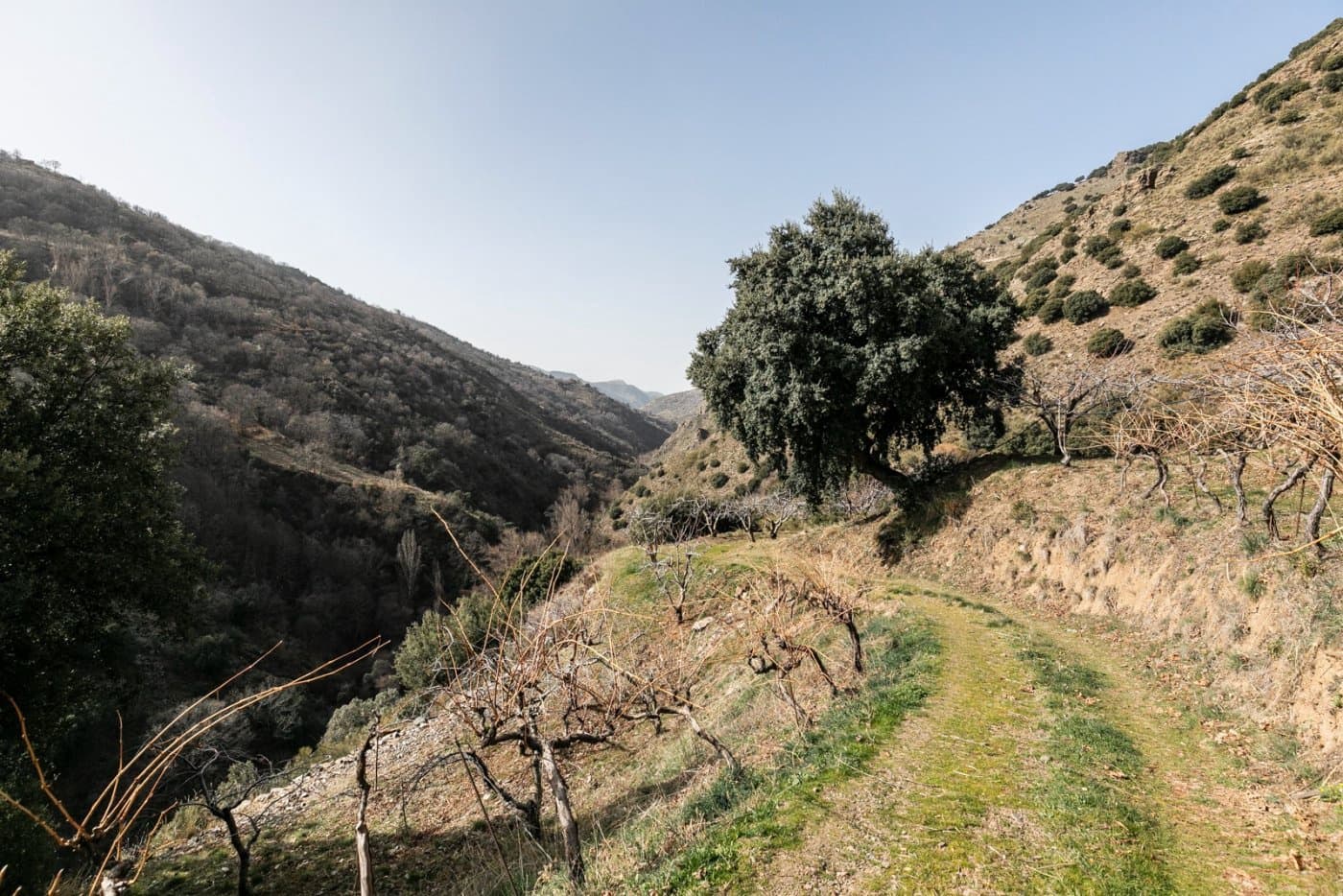 Byggegrund til salg i Guejar Sierra - € 154.000 (Ref: 7717121)