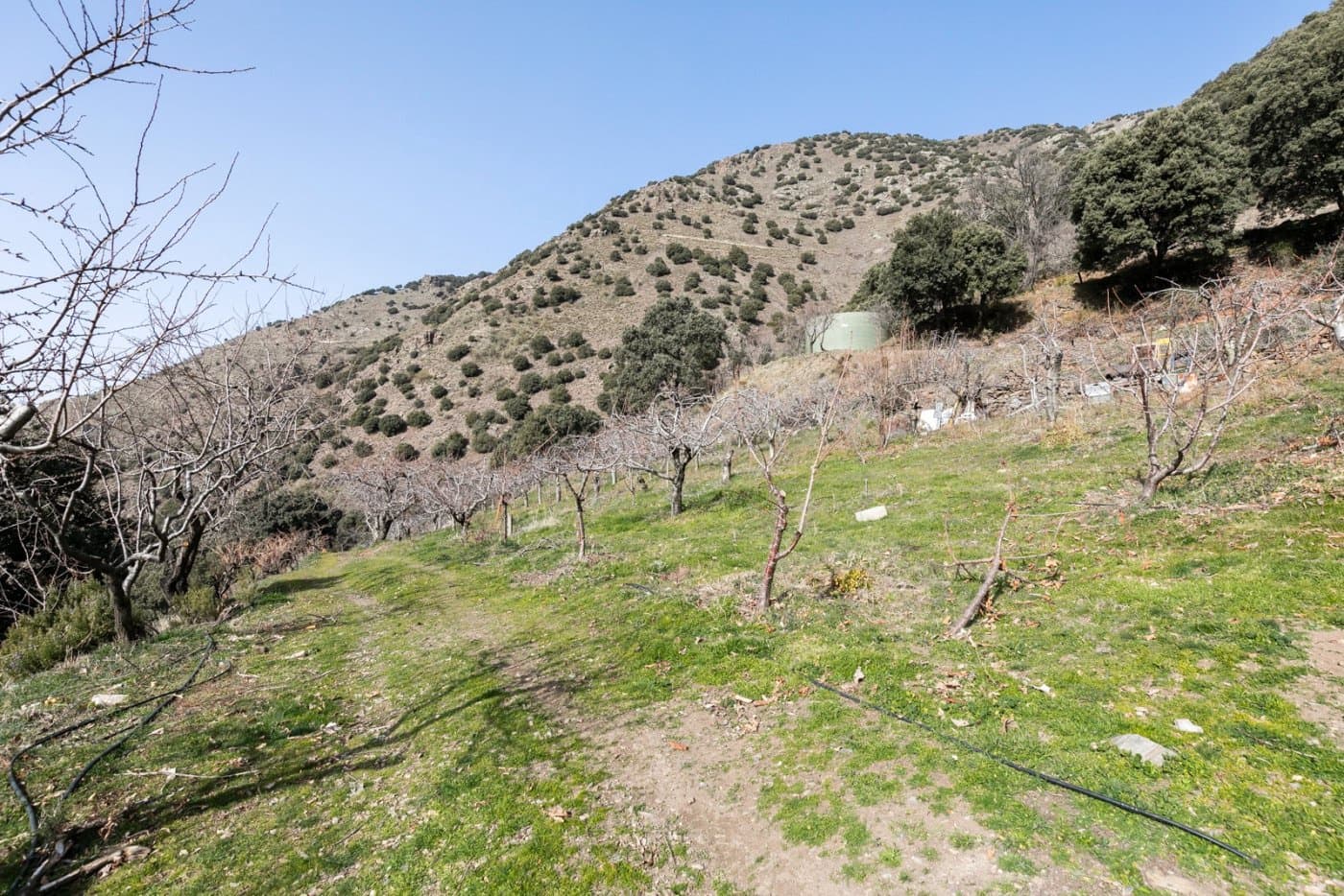 Byggegrund til salg i Guejar Sierra - € 154.000 (Ref: 7717121)