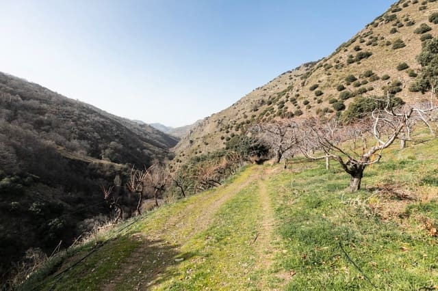 Tontti myytävänä paikassa Güéjar Sierra - 154 000 € (Ref: 7717121)