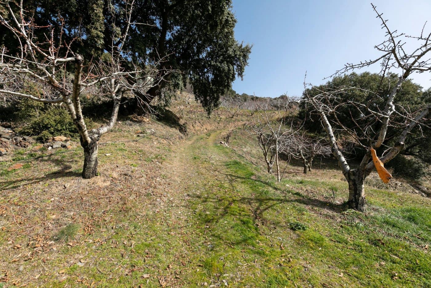 Byggegrund til salg i Guejar Sierra - € 154.000 (Ref: 7717121)