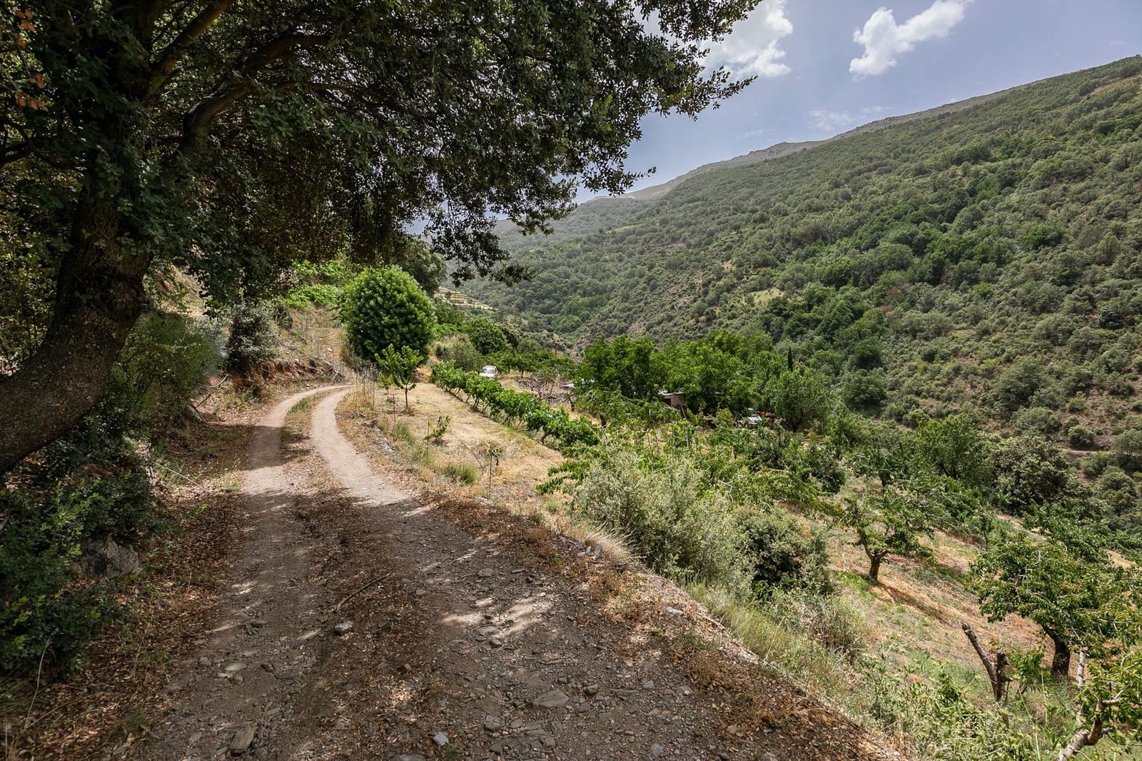 Byggegrund til salg i Guejar Sierra - € 154.000 (Ref: 7717121)