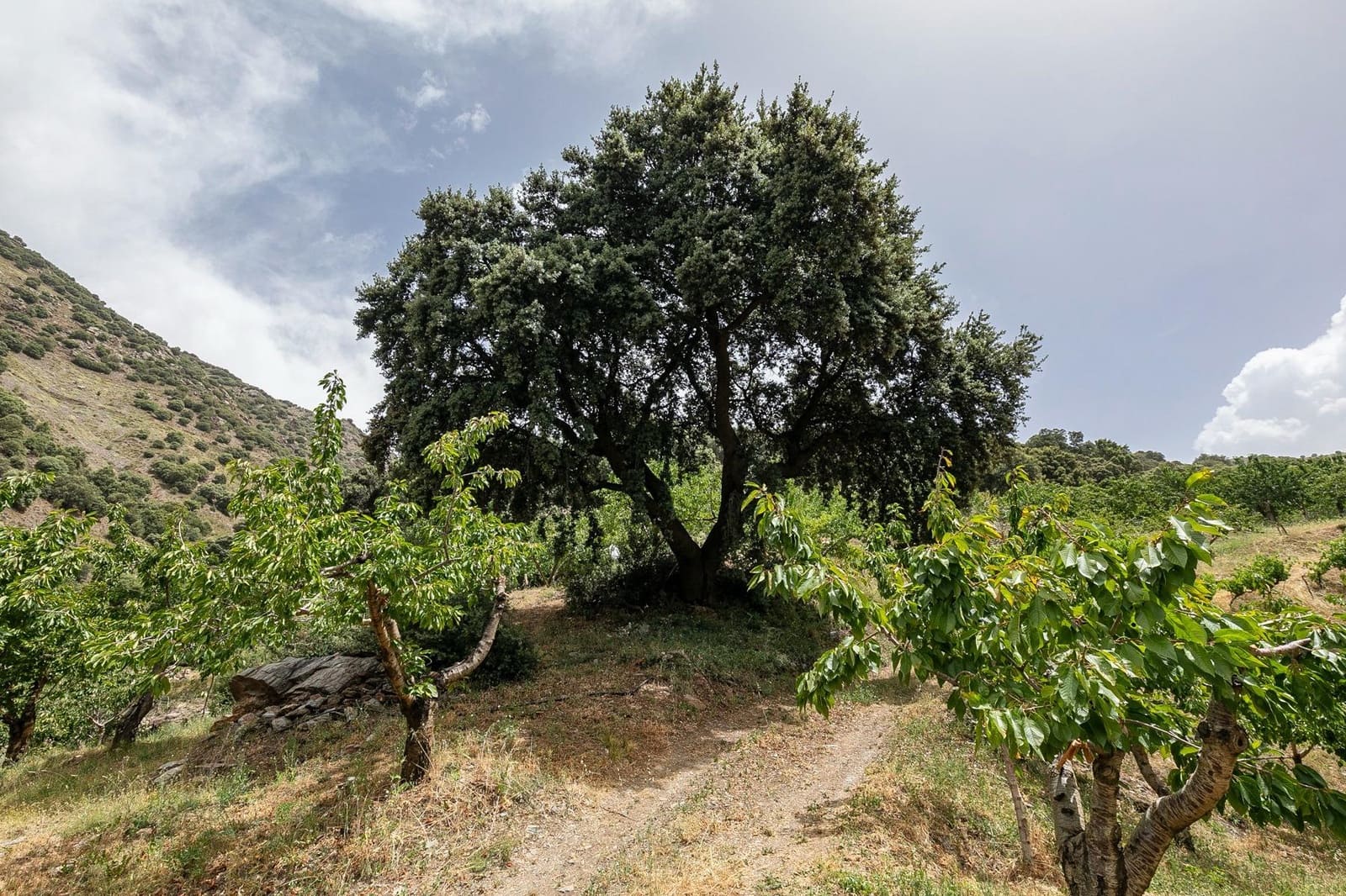 Byggegrund til salg i Guejar Sierra - € 154.000 (Ref: 7717121)