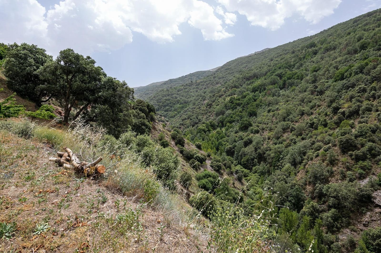 Byggegrund til salg i Guejar Sierra - € 154.000 (Ref: 7717121)