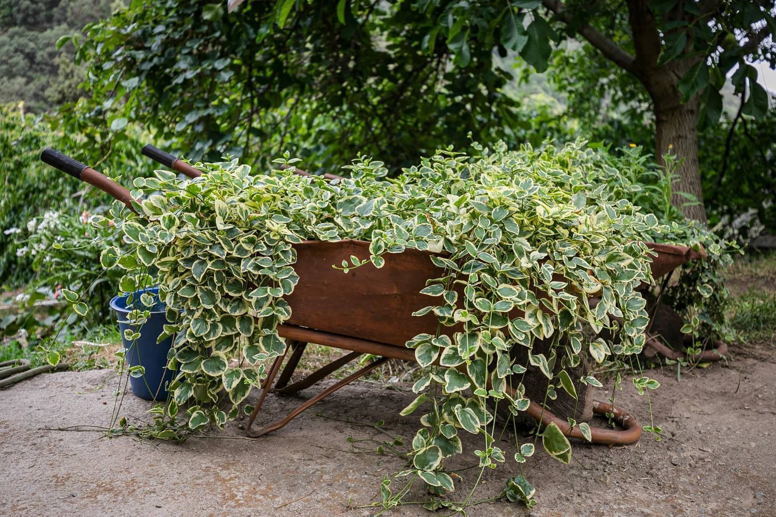 Byggegrund til salg i Guejar Sierra - € 154.000 (Ref: 7717121)