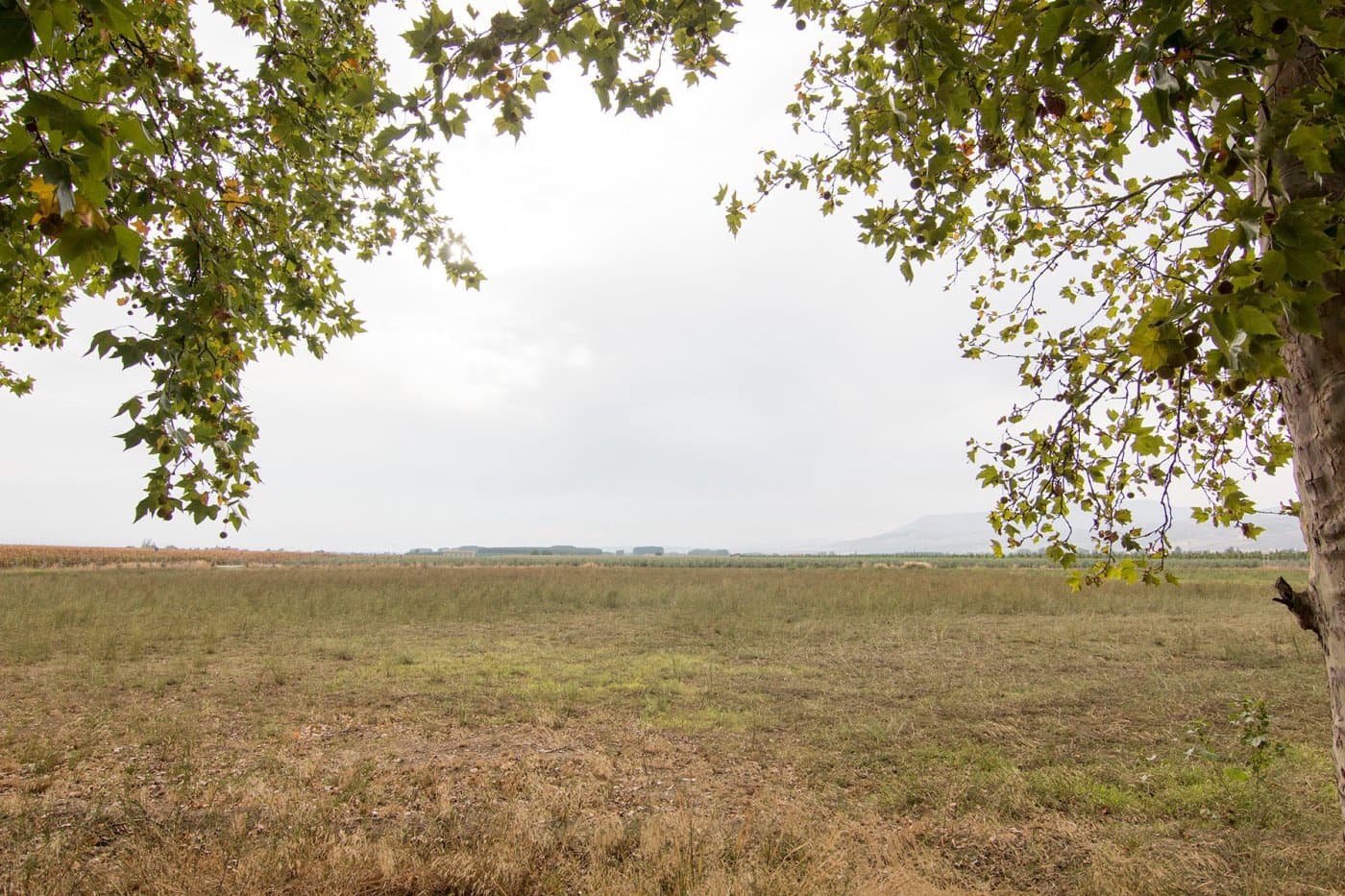 1 soverom Finca/Herregård til salgs i Pinos Puente - € 370 000 (Ref: 8213574)