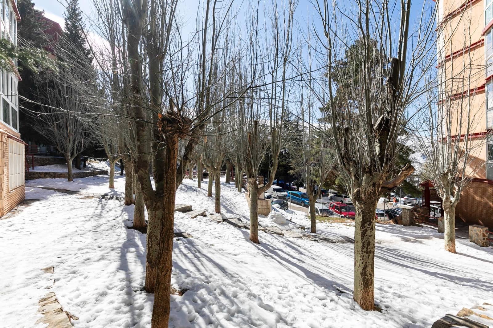 3 sovrum Lägenhet till salu i Sierra Nevada - 365 000 € (Ref: 8825103)