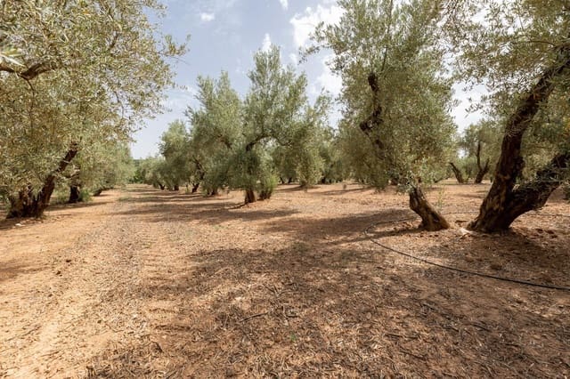 4 soveværelse Finca/Landehus til salg i Moraleda de Zafayona med swimmingpool garage - € 599.000 (Ref: 9048800)