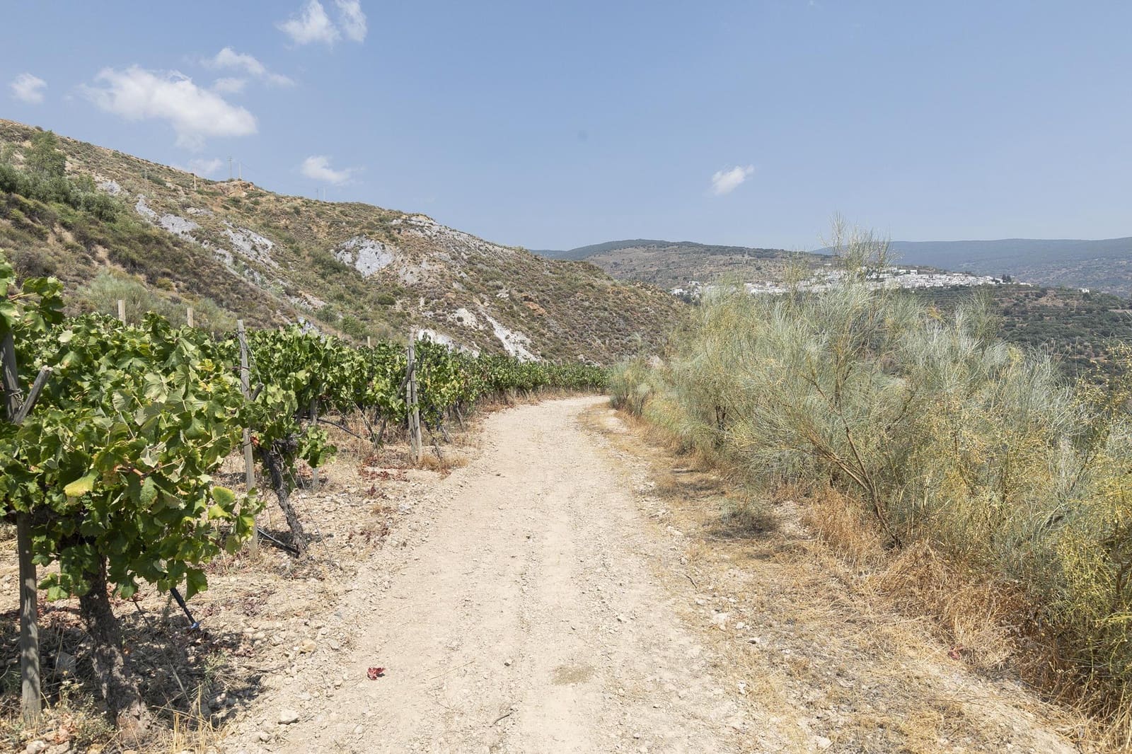 6 soveværelse Virksomhed til salg i Granada by - € 1.550.000 (Ref: 9374117)