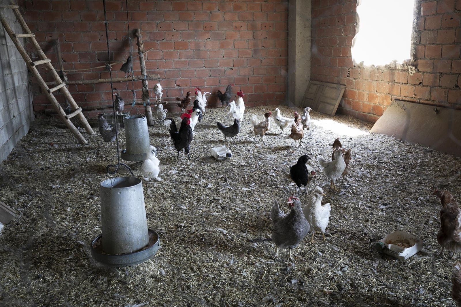 6 soveværelse Virksomhed til salg i Granada by - € 1.550.000 (Ref: 9374117)