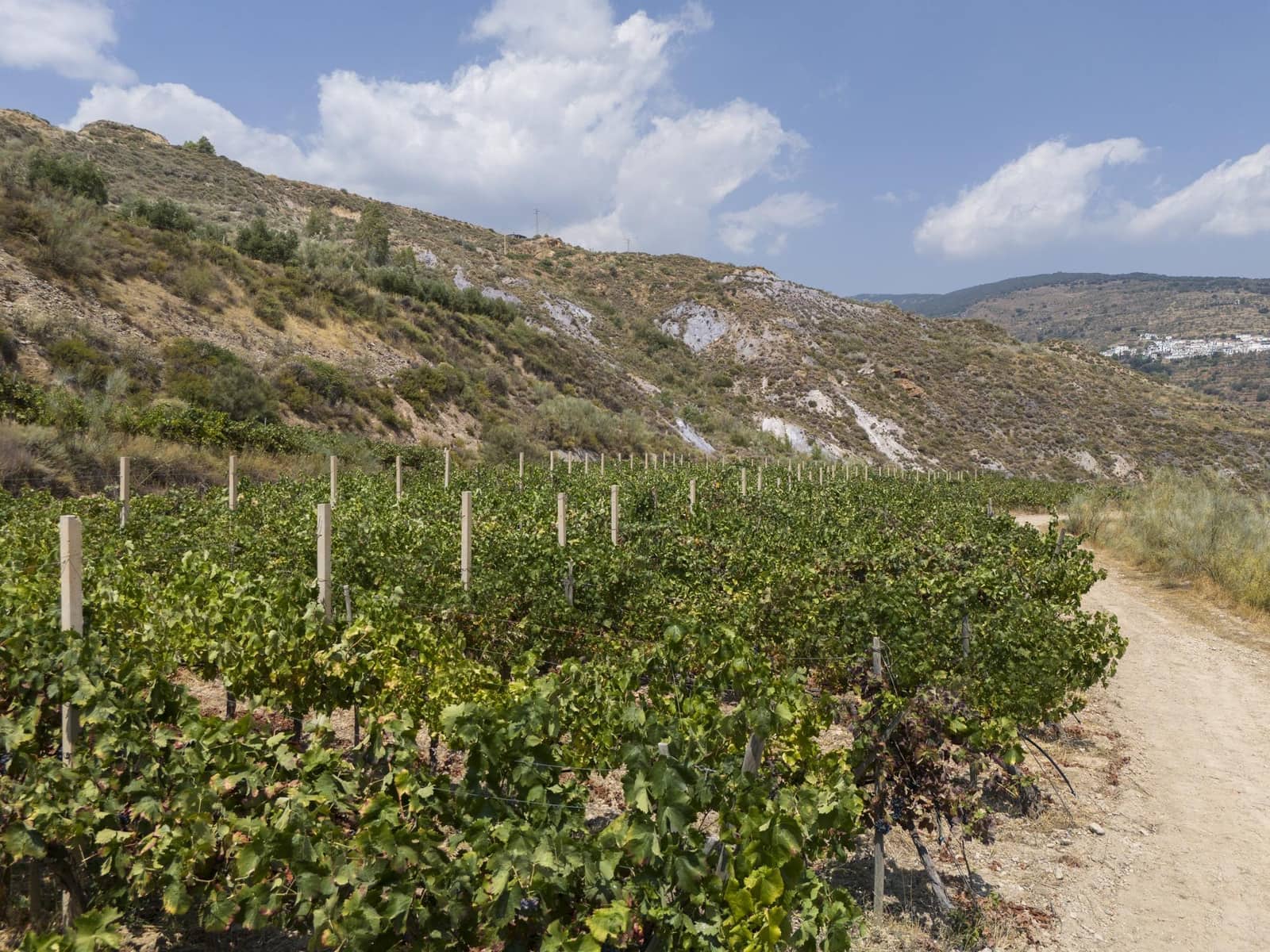 6 soveværelse Virksomhed til salg i Granada by - € 1.550.000 (Ref: 9374117)