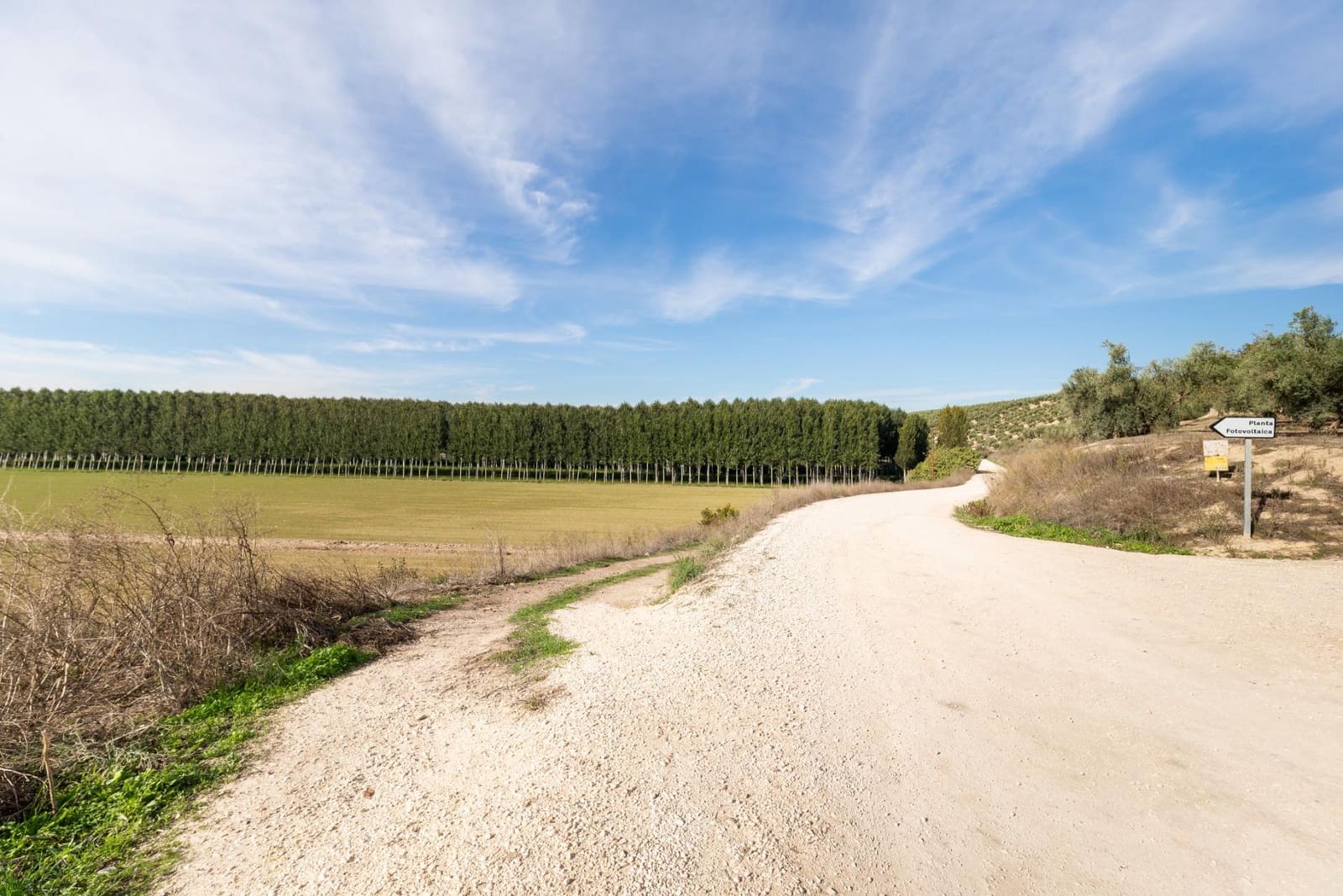 5 soverom Finca/Herregård til salgs i Lachar med garasje - € 199 900 (Ref: 9385636)