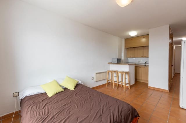 Apartamento de 1 habitación en Sierra Nevada, Monachil en venta con garaje - 119.900 € (Ref: 9541127)