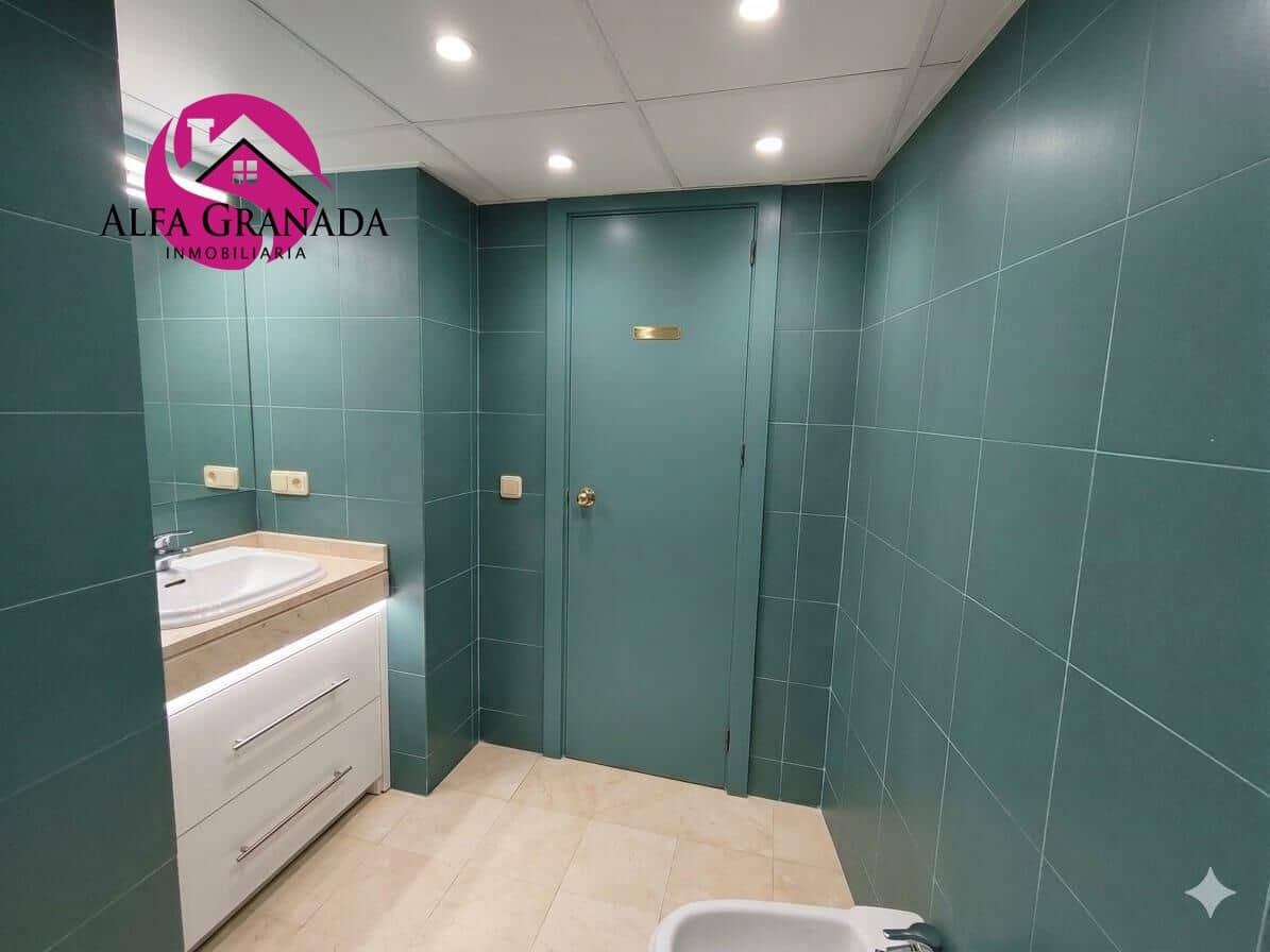 1 Zimmer Apartment zu vermieten in Granada Stadt mit Garage - 750 € (Ref: 9846258)