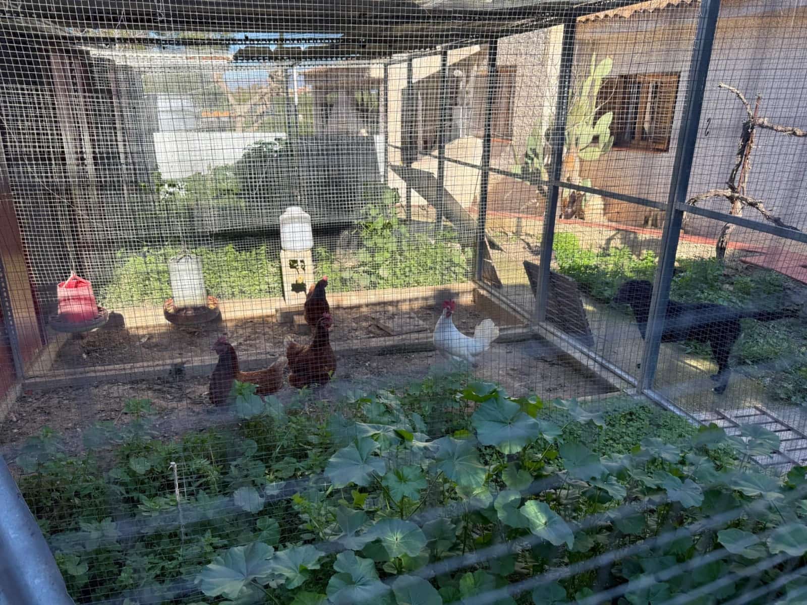 5 sovrum Villa till salu i La Alcayna med pool - 530 000 € (Ref: 9712088)