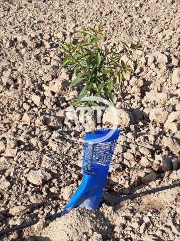 Finca/Landehus til salg i Chulilla - € 85.000 (Ref: 9172534)