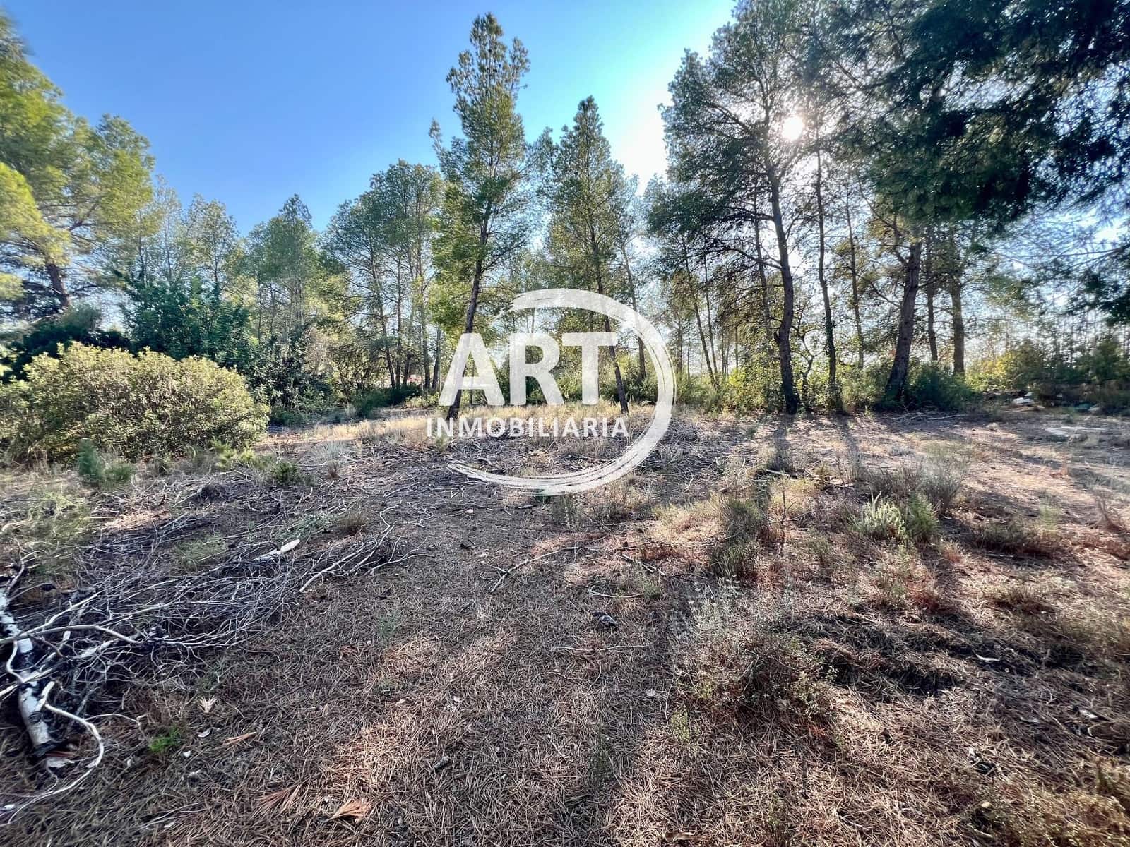 Teren niezagospodarowany na sprzedaż w Olocau - 200 000 € (Ref: 9280888)