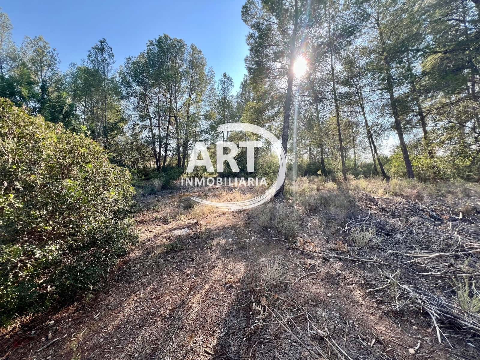 Teren niezagospodarowany na sprzedaż w Olocau - 200 000 € (Ref: 9280888)