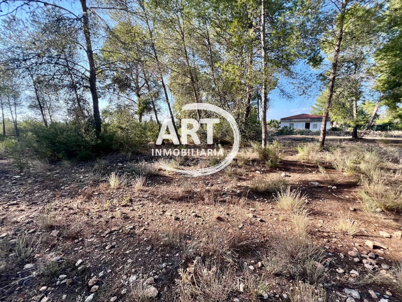 Teren niezagospodarowany na sprzedaż w Olocau - 200 000 € (Ref: 9280888)