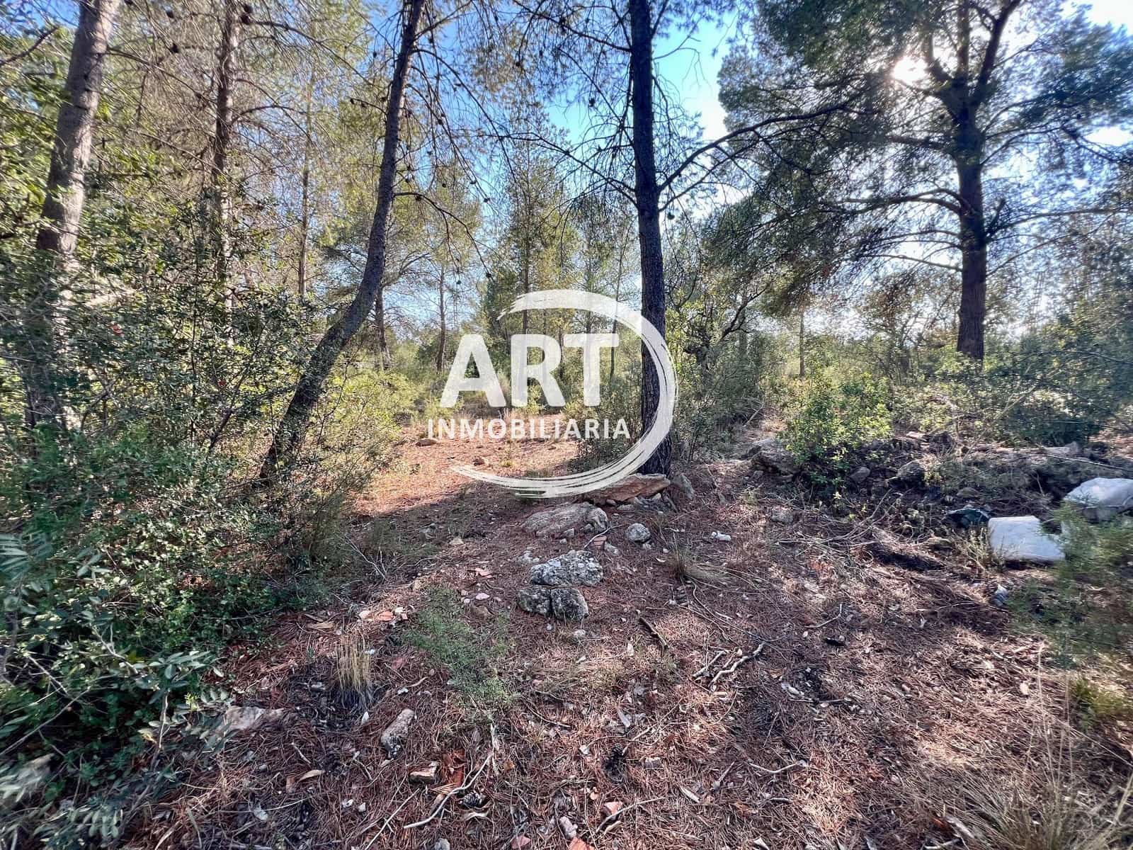 Teren niezagospodarowany na sprzedaż w Olocau - 200 000 € (Ref: 9280888)