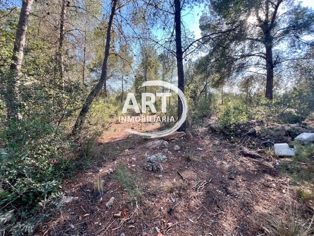 Grunde uden byggetilladelser til salg i Olocau - € 200.000 (Ref: 9280888)