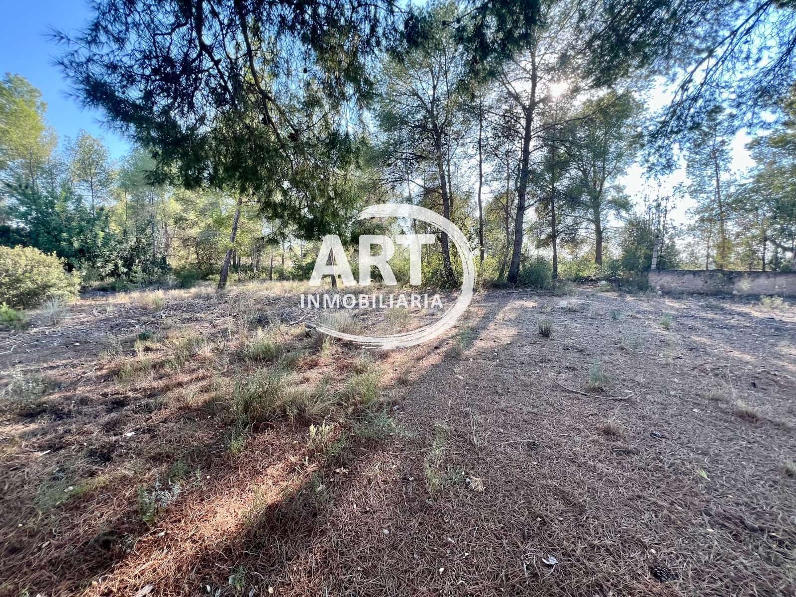 Teren niezagospodarowany na sprzedaż w Olocau - 200 000 € (Ref: 9280888)