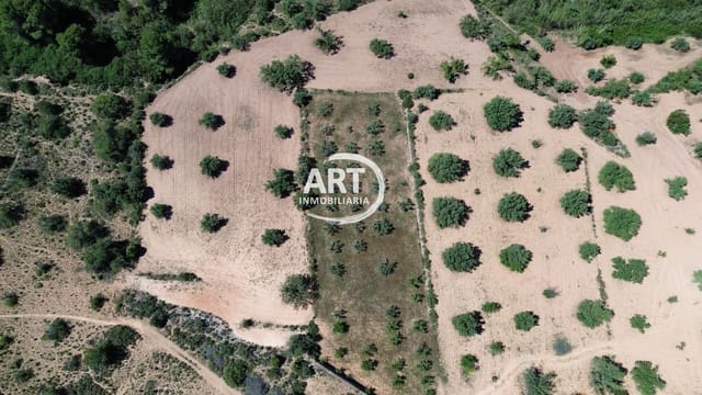 Terreno/Finca Rústica en Olocau en venta - 140.000 € (Ref: 9830624)
