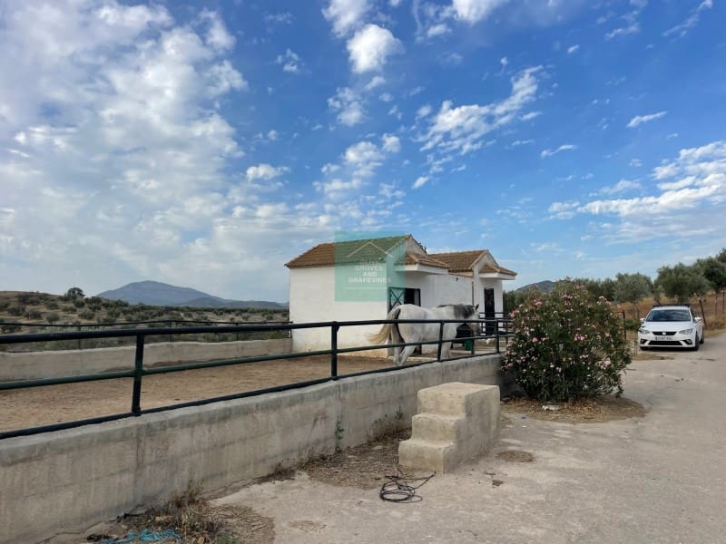 4 soveværelse Villa til salg i Castil de Campos - € 205.000 (Ref: 7714983)