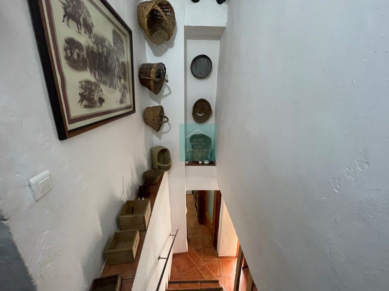 3 chambre Finca/Maison de Campagne à vendre à Zagrilla - 145 000 € (Ref: 8863027)