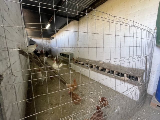 4 slaapkamer Finca/Landhuis te koop in Ecija - € 349.000 (Ref: 9525040)