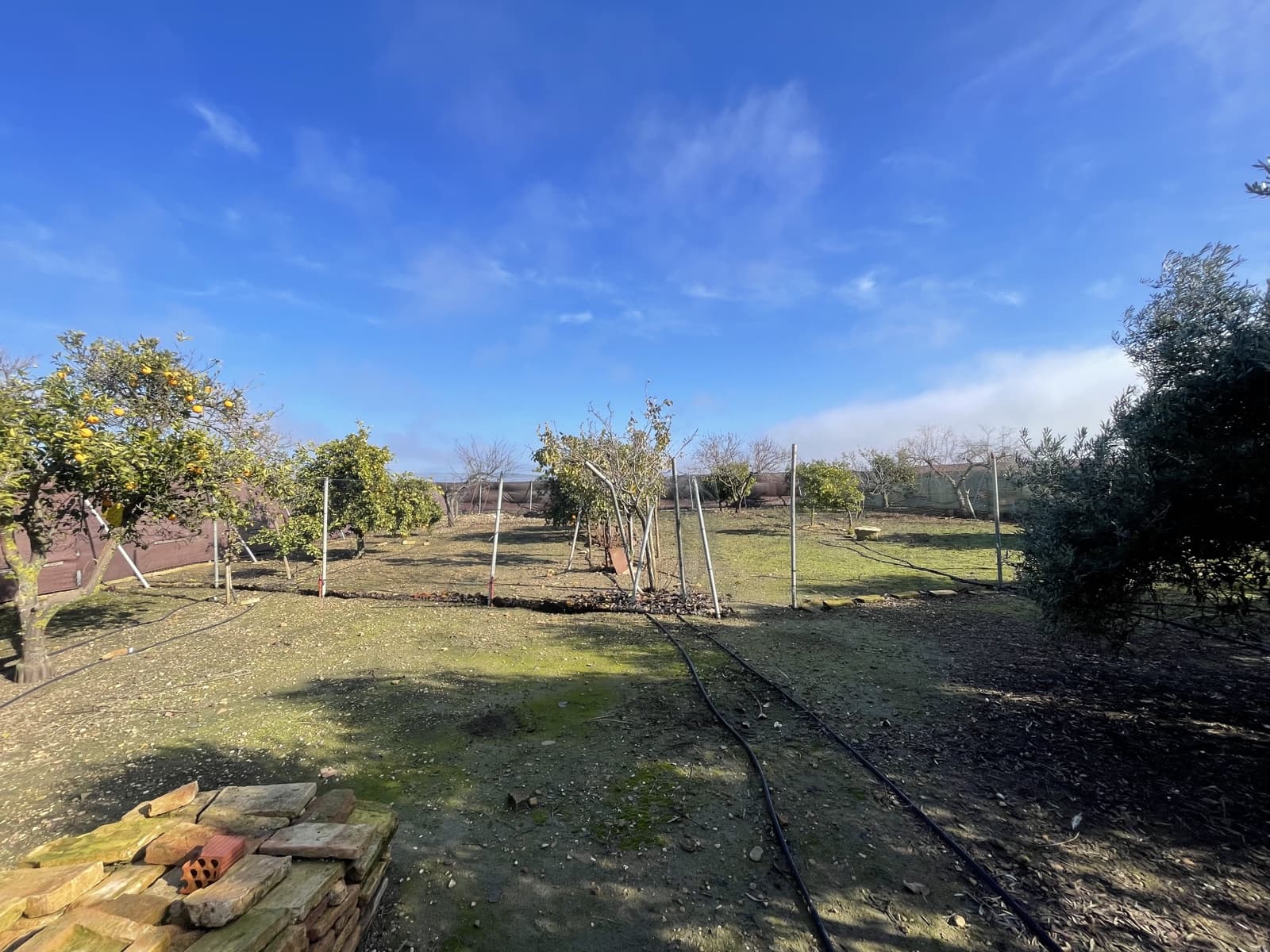 4 slaapkamer Finca/Landhuis te koop in Ecija - € 349.000 (Ref: 9525040)