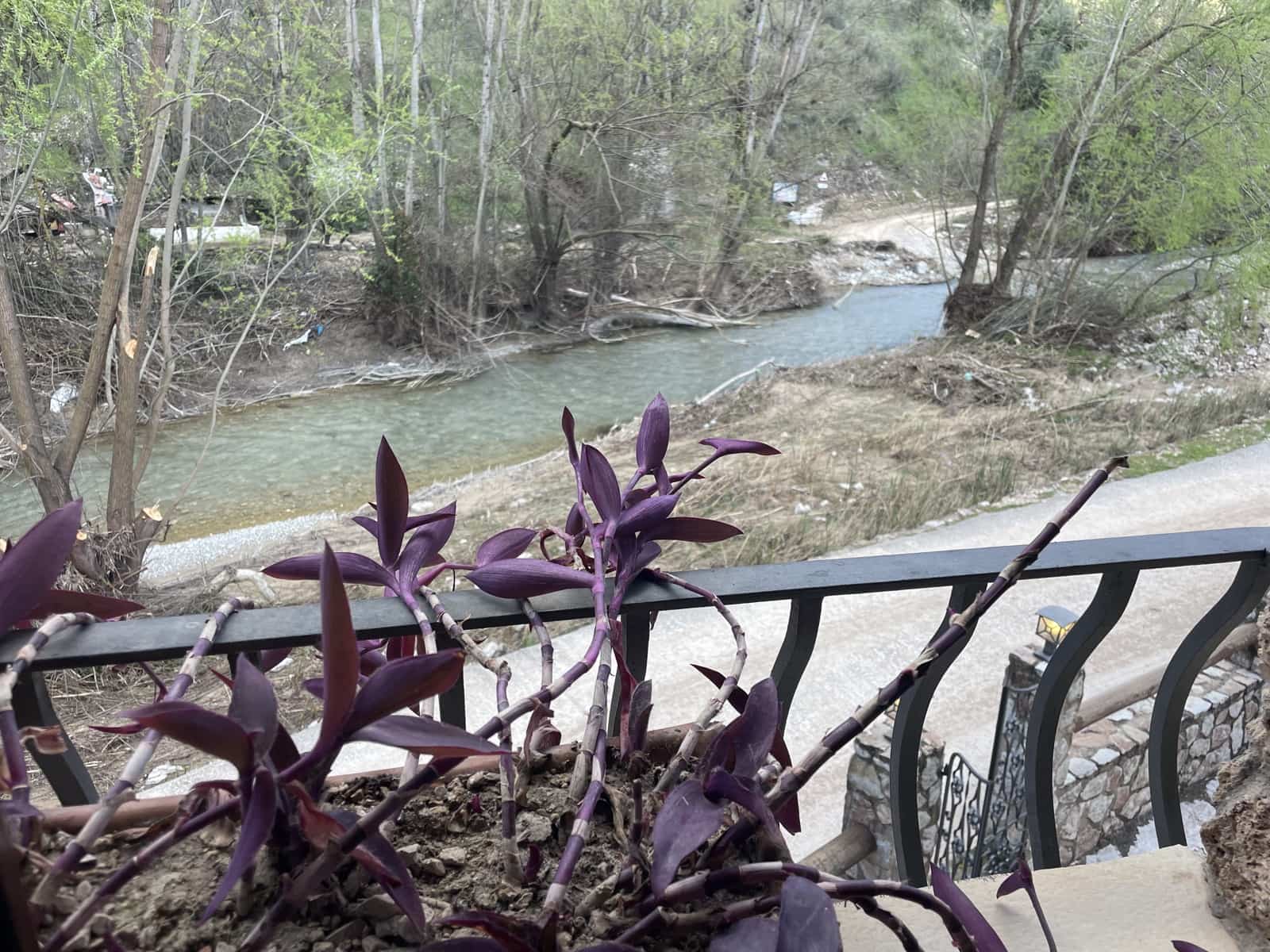 4 sypialnia Finka/Dom wiejski na sprzedaż w Algarinejo - 250 000 € (Ref: 9699667)