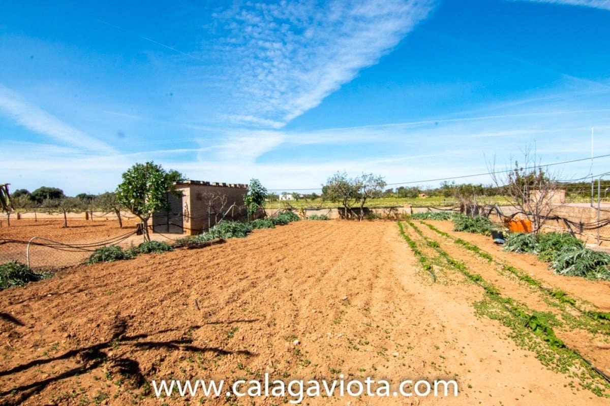 2 soveværelse Villa til salg i Ses Salines med swimmingpool - € 600.000 (Ref: 7168147)