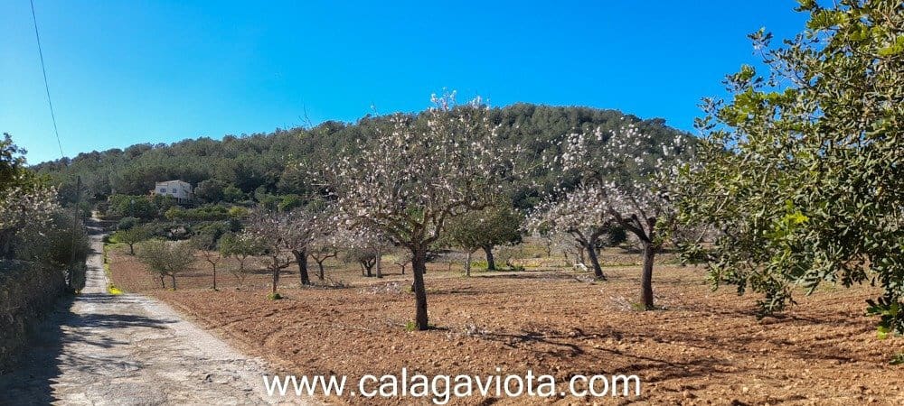 4 soveværelse Villa til salg i Portocolom med swimmingpool - € 1.490.000 (Ref: 7168184)