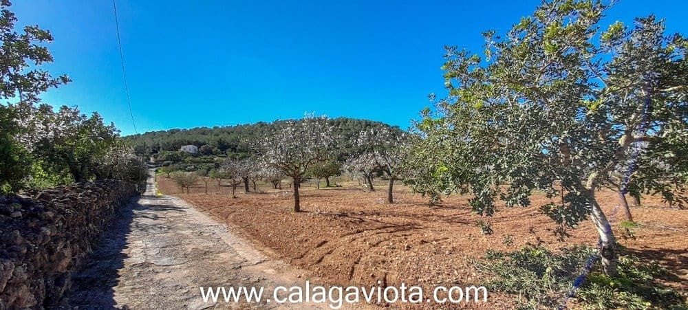 4 soveværelse Villa til salg i Portocolom med swimmingpool - € 1.490.000 (Ref: 7168184)