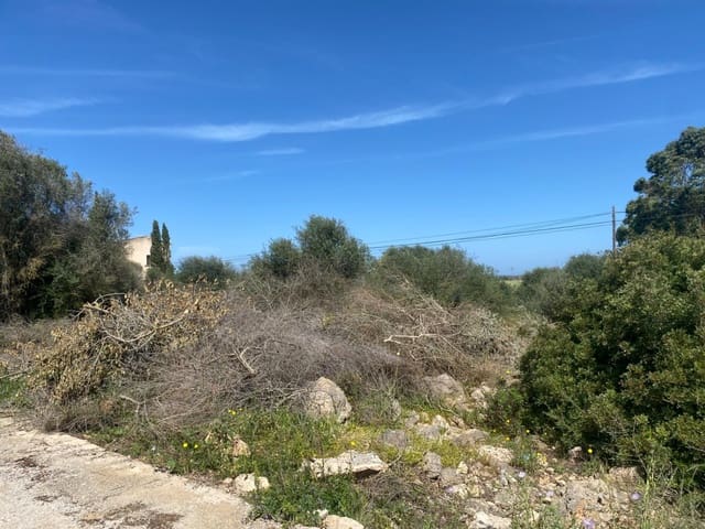 Bouwgrond te koop in Ses Salines - € 375.000 (Ref: 7168189)