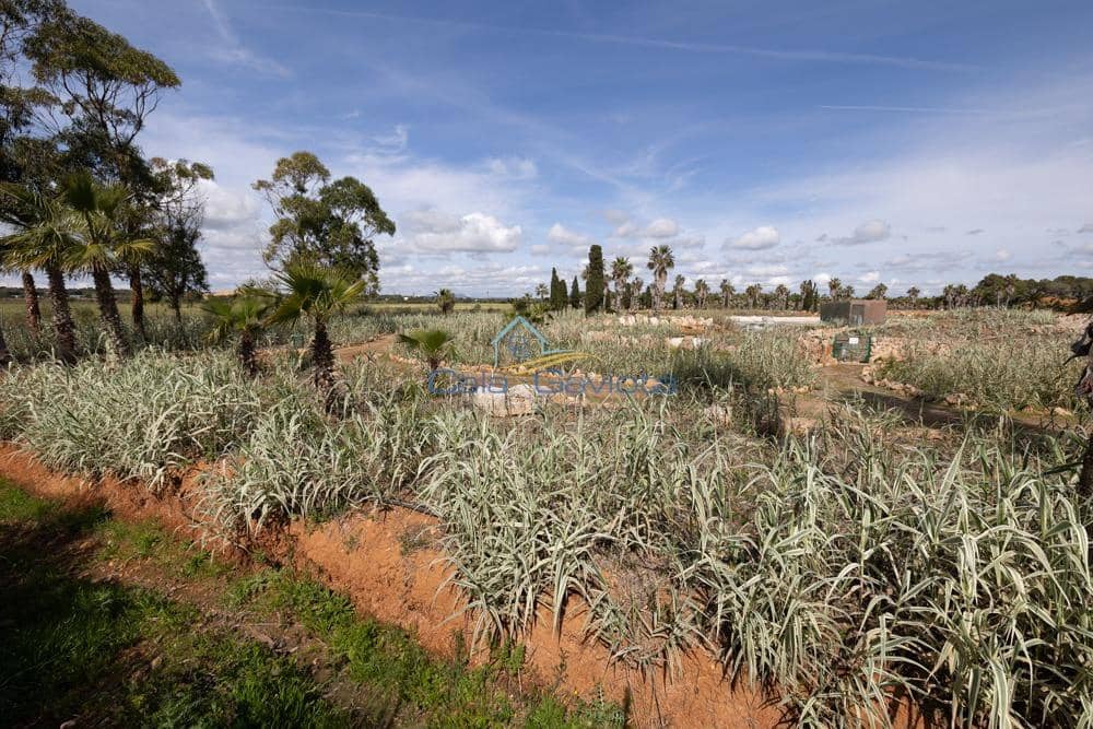 Bauplatz zu verkaufen in Ses Salines - 690.000 € (Ref: 7168189)