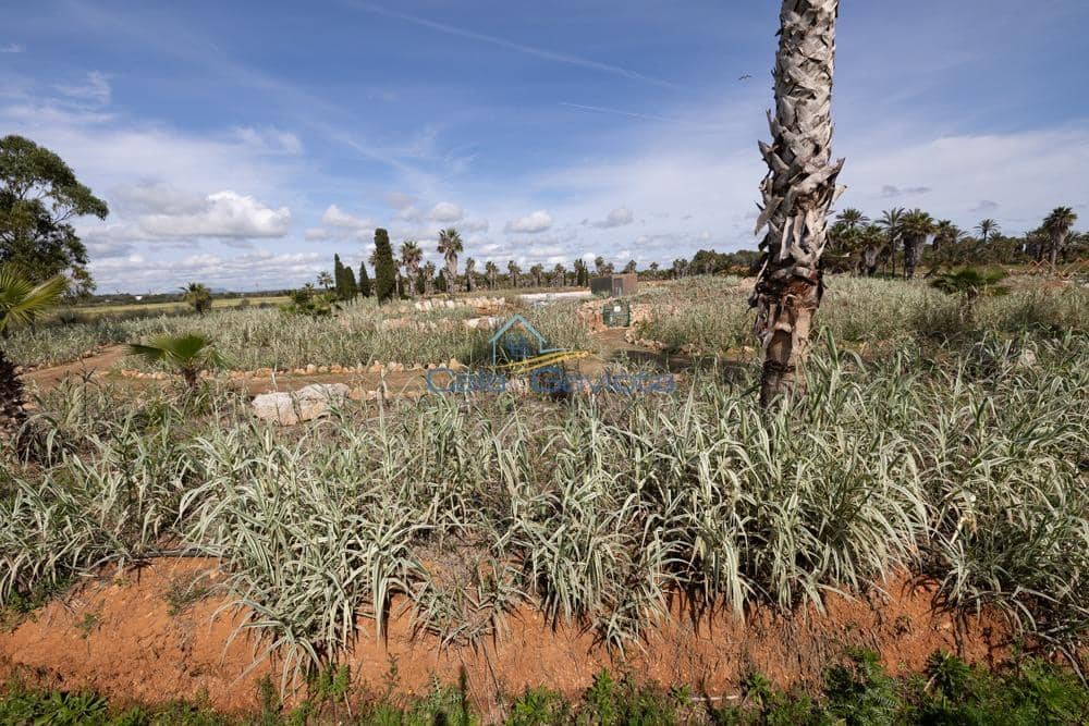 Bauplatz zu verkaufen in Ses Salines - 690.000 € (Ref: 7168189)