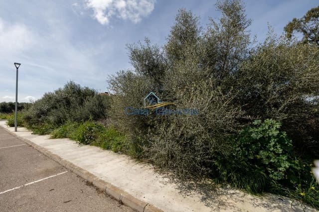 Bauplatz zu verkaufen in Ses Salines - 690.000 € (Ref: 7168189)