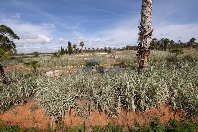 Bauplatz zu verkaufen in Ses Salines - 690.000 € (Ref: 7168189)