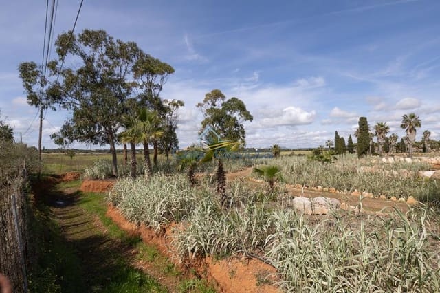 Bauplatz zu verkaufen in Ses Salines - 690.000 € (Ref: 7168189)